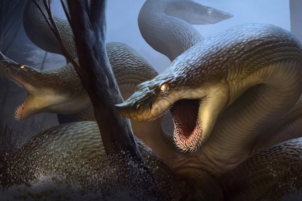 Кракен мониторинг ссылок kraken torion
